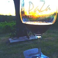 Wine Glass at the vineyard